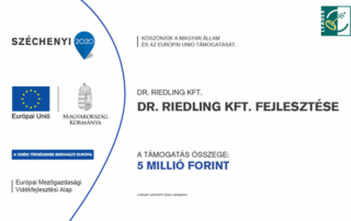 Dr.Riedling KFT. fejlesztése - Leader pájázat - Medicina Klinika Fogászat Hévíz