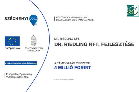 Dr.Riedling KFT. fejlesztése - Leader pájázat - Medicina Klinika Fogászat Hévíz